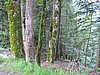 IMG_1693.JPG