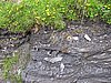 IMG_1864.JPG