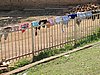 IMG_2288.JPG