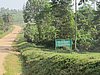 IMG_2331.JPG