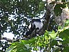 IMG_2333.JPG