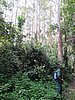 IMG_2335.JPG