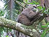 IMG_2338.JPG