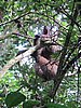 IMG_2342.JPG