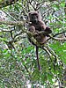 IMG_2348.JPG