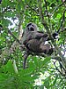 IMG_2350.JPG