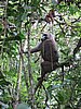 IMG_2351.JPG