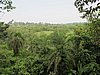 IMG_2362.JPG