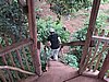 IMG_2363.JPG