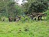 IMG_2369.JPG