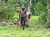 IMG_2370.JPG