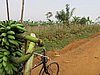 IMG_2526.JPG