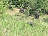 IMG_2565.JPG