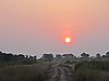 IMG_2701.JPG