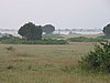 IMG_2704.JPG