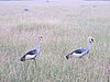 IMG_2715.JPG
