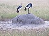 IMG_2721.JPG