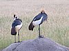 IMG_2722.JPG