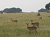 IMG_2729.JPG