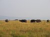 IMG_2757.JPG