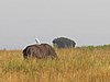 IMG_2760.JPG
