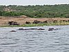 IMG_2799.JPG