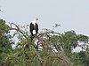 IMG_2832.JPG