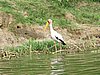IMG_2839.JPG