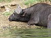 IMG_2842.JPG