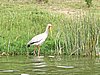 IMG_2843.JPG