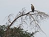 IMG_2847.JPG