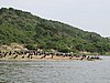 IMG_2849.JPG