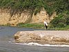 IMG_2878.JPG