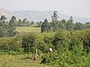 IMG_2909.JPG