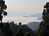 IMG_3134.JPG