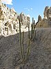 IMG_5700.JPG