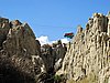 IMG_5701.JPG