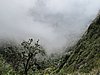 IMG_5926.JPG