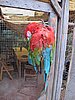 IMG_5934.JPG