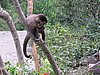IMG_5945.JPG