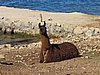 IMG_6047.JPG