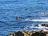 IMG_3970.JPG