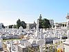 IMG_4316.JPG