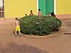 IMG_4390.JPG