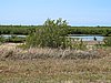 IMG_4403.JPG