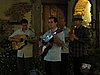IMG_4415.JPG