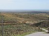 IMG_4427.JPG