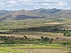 IMG_4431.JPG