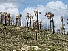 IMG_4435.JPG