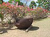 IMG_4439.JPG